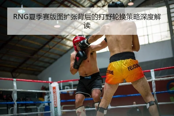 RNG夏季赛版图扩张背后的打野轮换策略深度解读